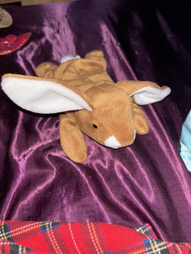 Beanie buddy ears - buddy, the