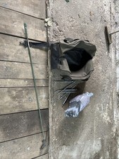 Decoy Pigeons And Bouncer