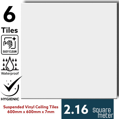 Suspended vinyl ceiling tiles - vinyl,