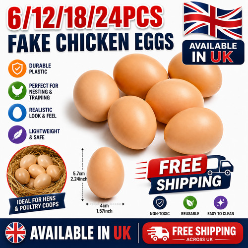 24pcs fake chicken - fake, eggs