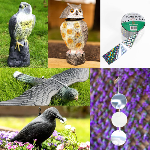 Bird decoy animal deterrent - animal,