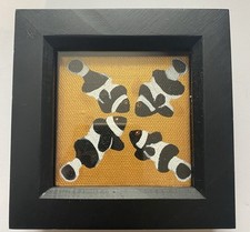 OOAK Four Clown  Fish - 7.5cm