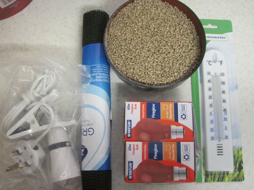 Brooder kit chicken - brooder,