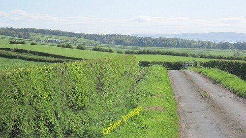 Photo 6x4 minor road - 6x4,