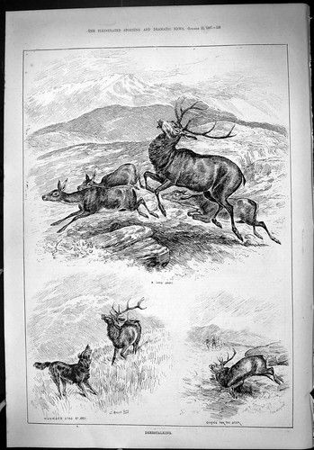 Original old antique print - original,