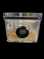 Praying Mantis,Stick Insect,Vented, enclosure, incubation, eggs,tub, stackable 