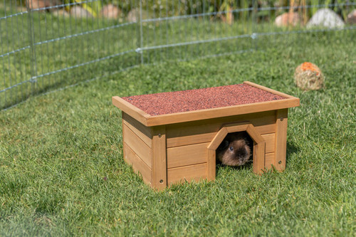 Trixie outdoor small - outdoor, animal