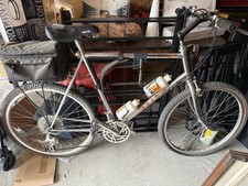 Ross Vintage Mt Hood. HiTech