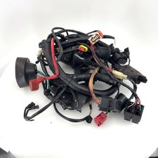 2022 - 2025 Lifan KPS200 OEM Main Wiring Harness