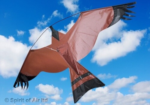 Hawk bird scarer kite - hawk,