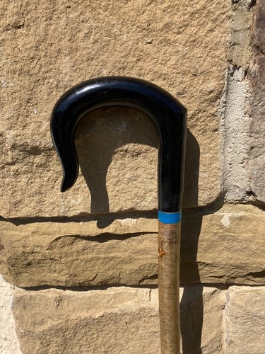 Tall black resin crook on - black,