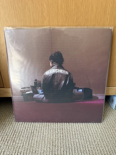 Bleachers sleeve - bleachers,