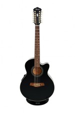 Ibanez AEL2012E-TKS 12-String