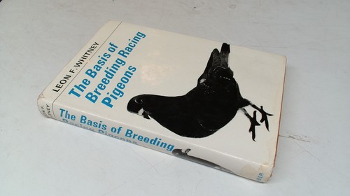 The basis of - basis,