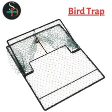 Bird Trap Humane Live Hunting Cage Trap for Small Birds Green Steel vidaXL