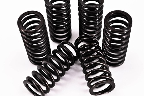18427 clutch disc springs - disc,
