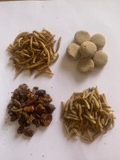 PMF KOI KRITTERS KOI FOOD /