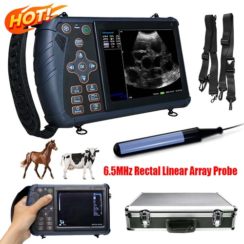 Portable vet ultrasound - portable,