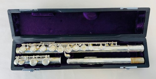 Trevor james 5xe concert - concert, flute