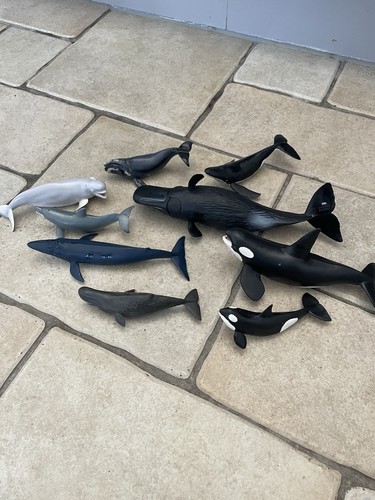 Papo whales and - whales,