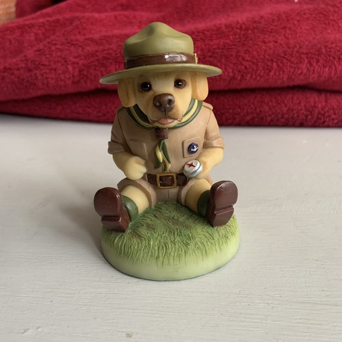 Robert harrop labrador - robert, puppy