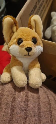 Wild republic fox - -,