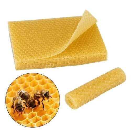 Beeswax sheets 30pcs - beeswax,