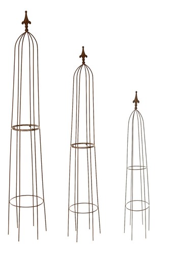 Garden obelisks climbing - climbing, metal