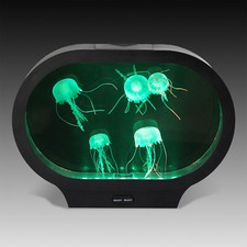 Oval Jellyfish Tank with LED