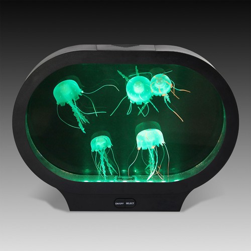 Oval jellyfish tank - jellyfish, led