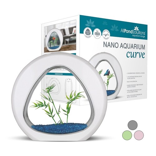Small nano curve - aquarium, fish