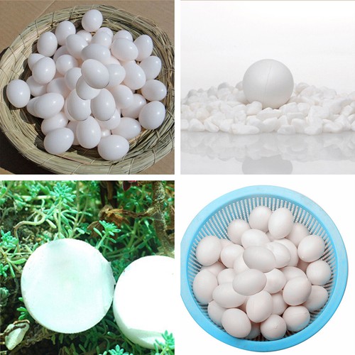 Plastic eggs dummy - 10/20, x