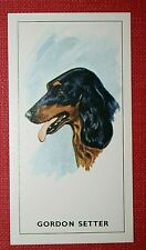 GORDON SETTER   Head Portrait  Card  DE26