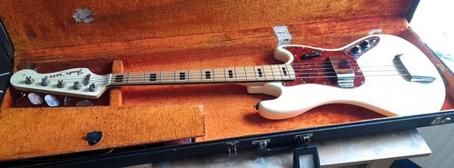 Fender bass 1966 - 'bass, v'