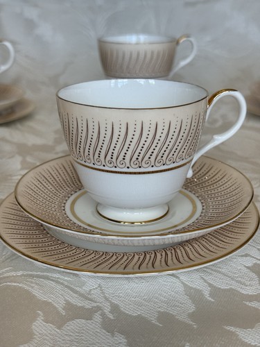 Paragon fine bone - paragon,
