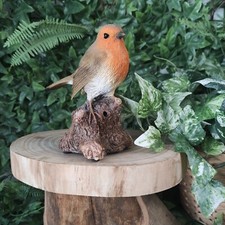 Vivid Arts - Singing Robin on