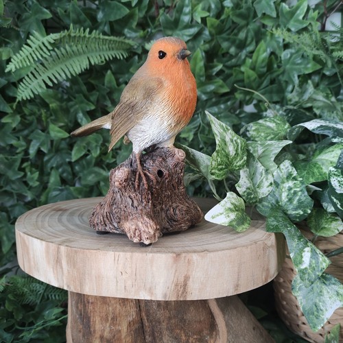 Vivid arts singing robin - vivid,