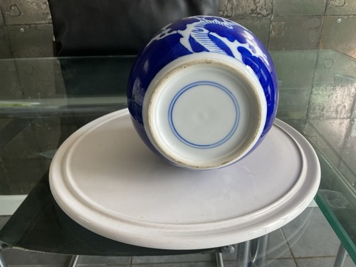 Blue and white - white, ginger