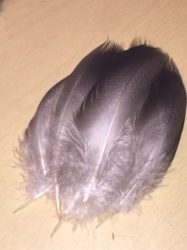 Bronze mallard feather - bronze,