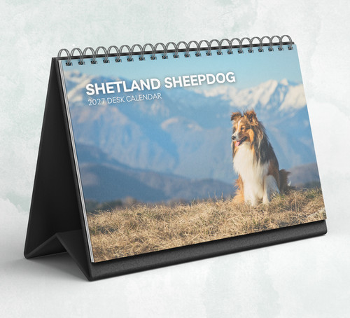 Shetland sheepdog desk - sheepdog,