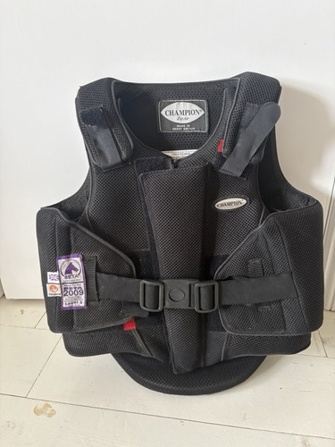 Champion horse riding body - horse,