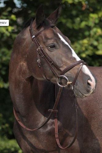 Stubben snaffle bridle 2300 - snaffle,