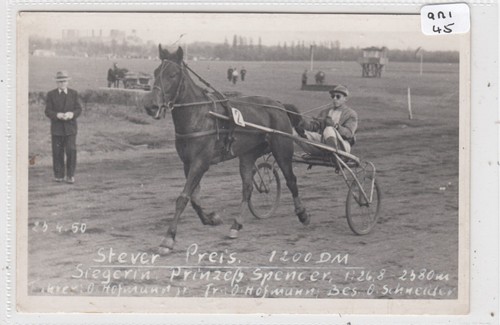 Horse racing a - ,