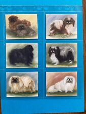 PEKINGESE ORIGINAL SET OF SIX COLLECTORS CARDS c1999