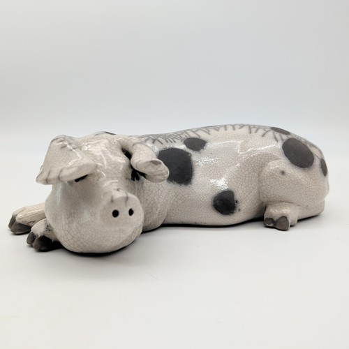 Lawson rudge spotted pig - c,