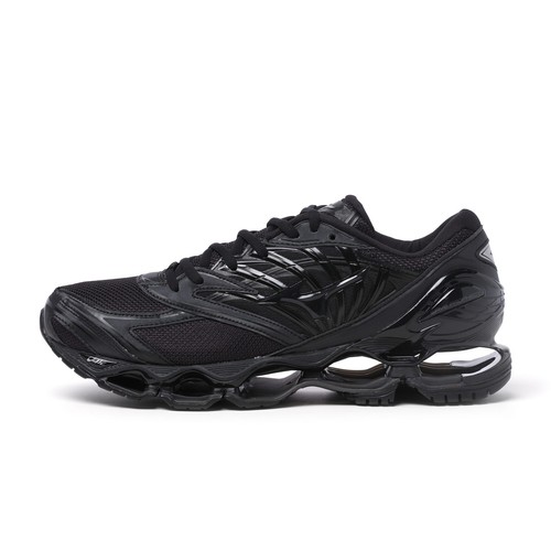 Mizuno wave prophecy - prophecy, ls