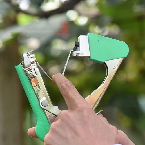 Plant tying gardening tape - plant,
