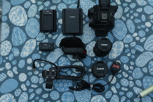 Canon c100 mark with - canon,