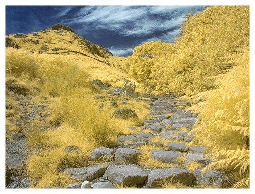 Converted infrared full - ir,