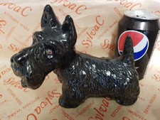 Very Rare SylvaC - Scottish